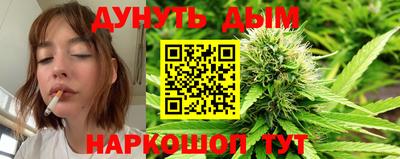 крисы Кандалакша