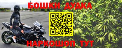 крисы Кандалакша