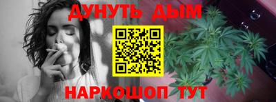 крисы Кандалакша