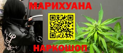 крисы Кандалакша