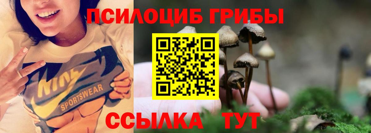 Галлюциногенные грибы мицелий  Вход с VPN  Кудрово  Галлюциногенные грибы Psilocybine cubensis 